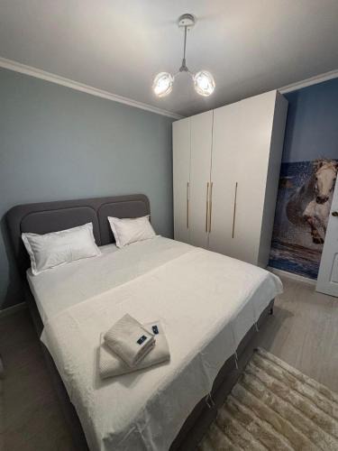 Kyzylorda Apartment | vipkvartirakzo