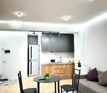 Bostandyk District Apartment | Апартамениы в Алматы студия 118A