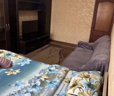 Shymkent Apartment | Однокомнатная квартира 20