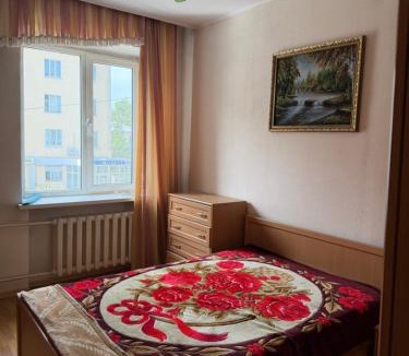 Oskemen Apartment | Посуточно 3х комнатная квартира