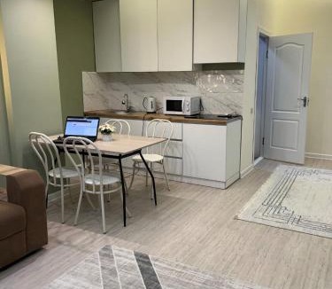 Bostandyk District Apartment | Aylin apartments 4 rooms 359