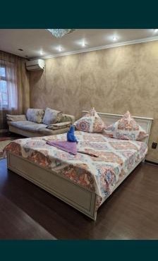 Квартира пасуточныи