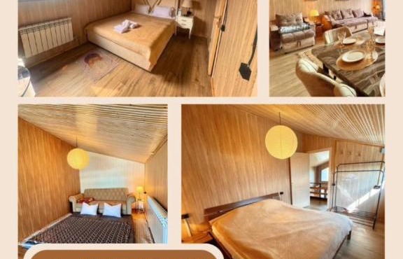 Bv house Mega