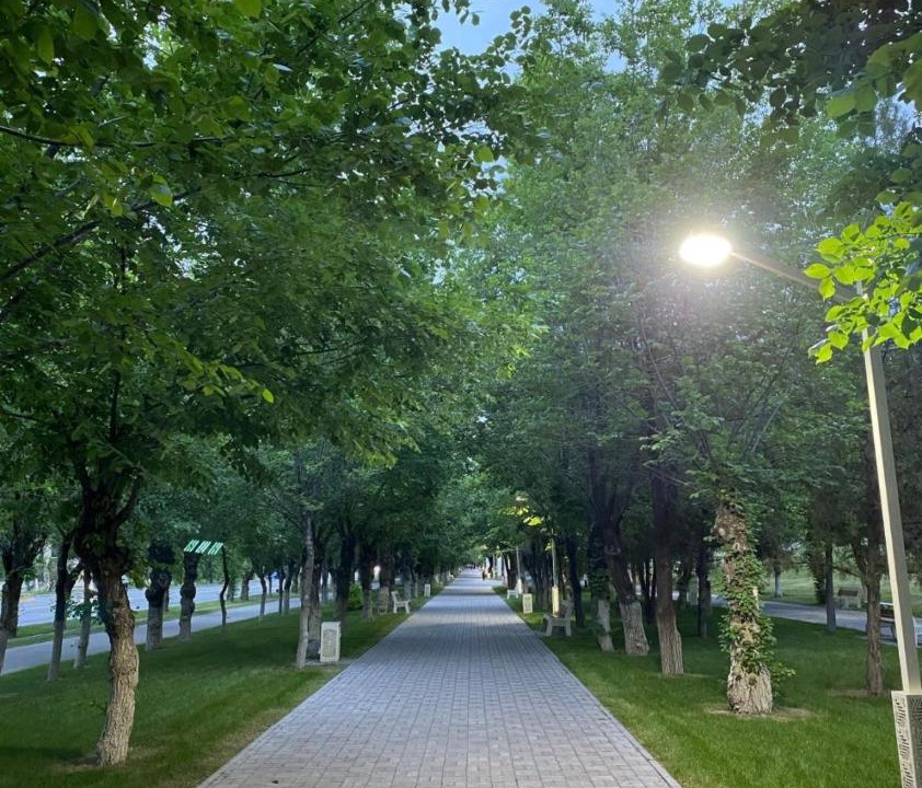Taraz Apartment | 2х комнатная на Толе би