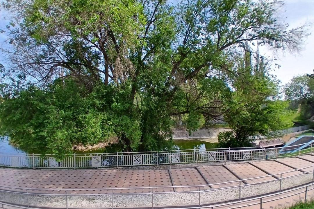 Photo of Others in Taraz