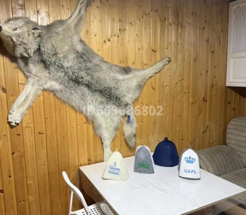 Photo of Others in Akmola Region