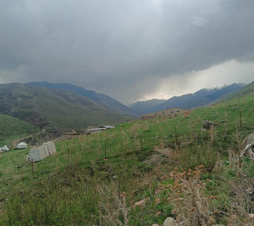 Photo of Others in Kaztsik