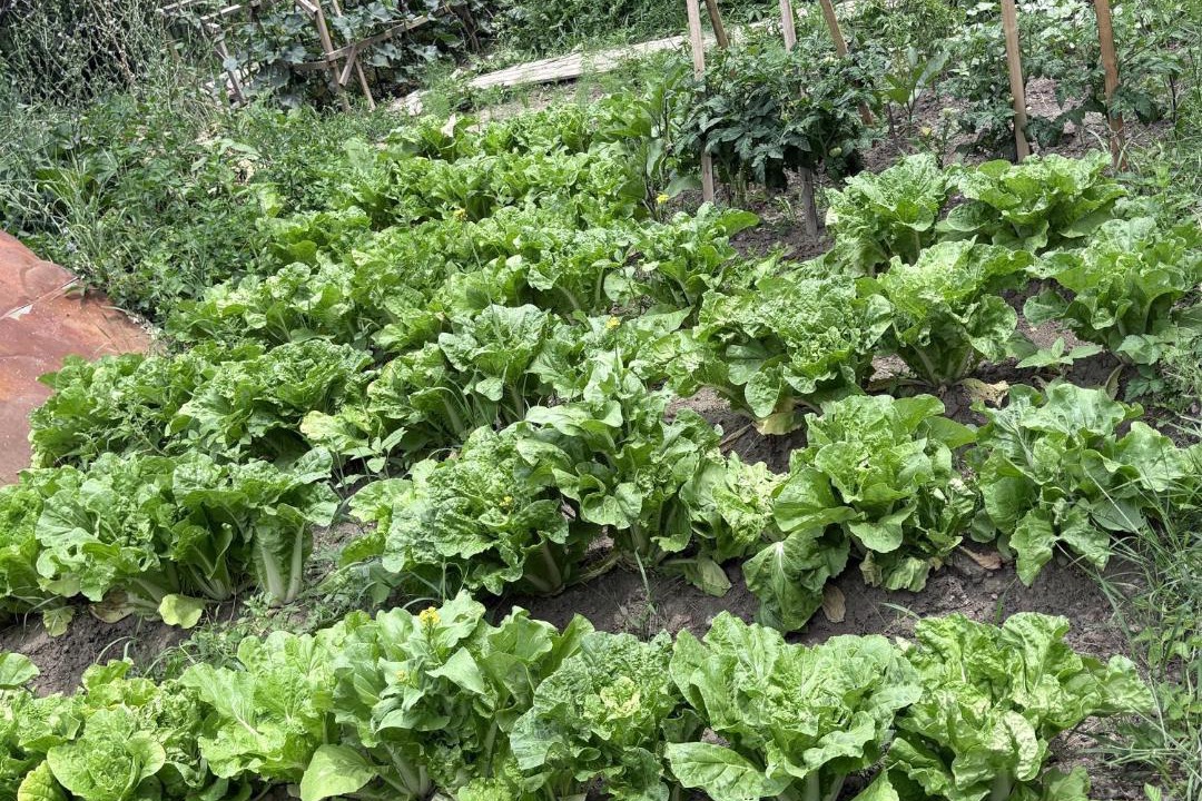 Photo of Others in Bostandyk District