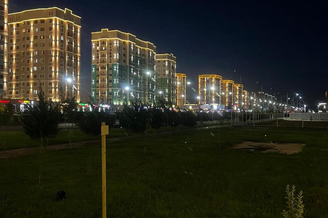 Photo of Others in Turkestan