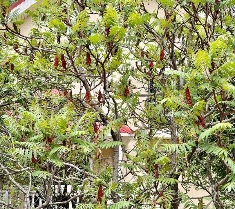 Photo of Outdoor in Bostandyk District