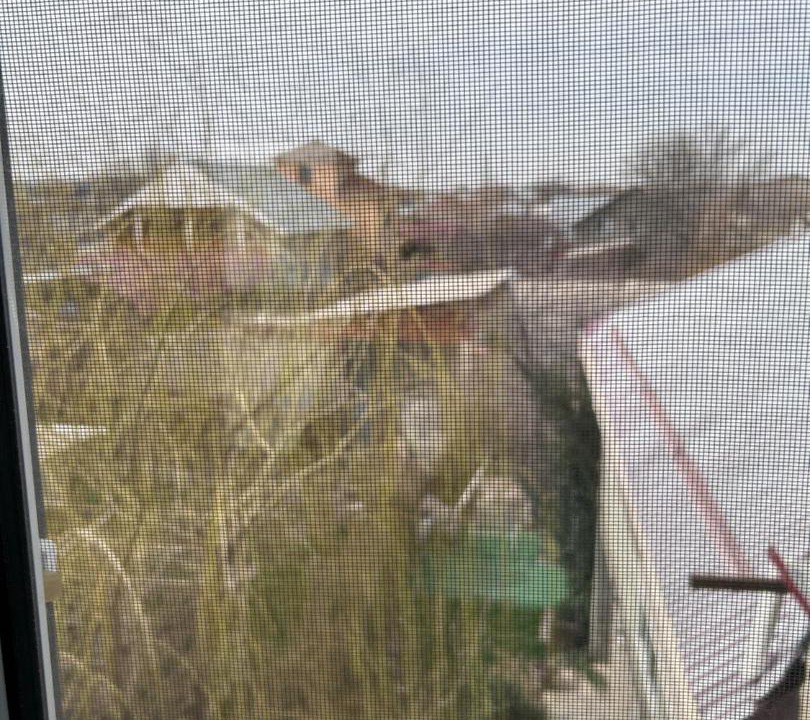 Photo of Others in Shymkent