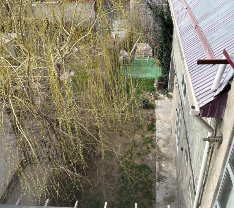 Photo of Others in Shymkent