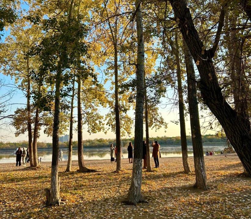 Photo of Others in Karagandy