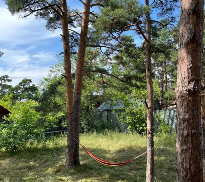 Photo of Outdoor in Burabay