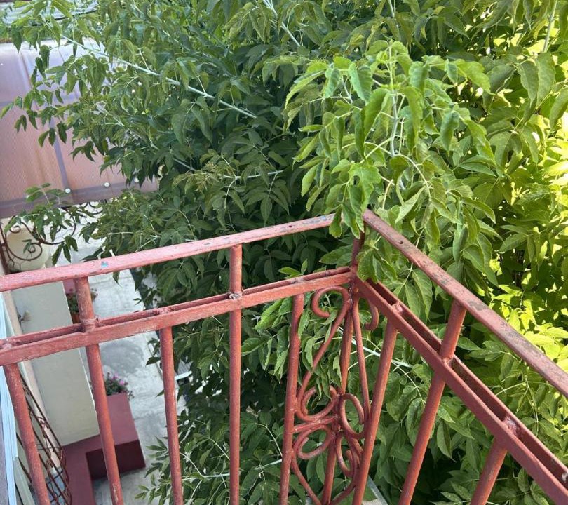 Photo of Others in Karagandy