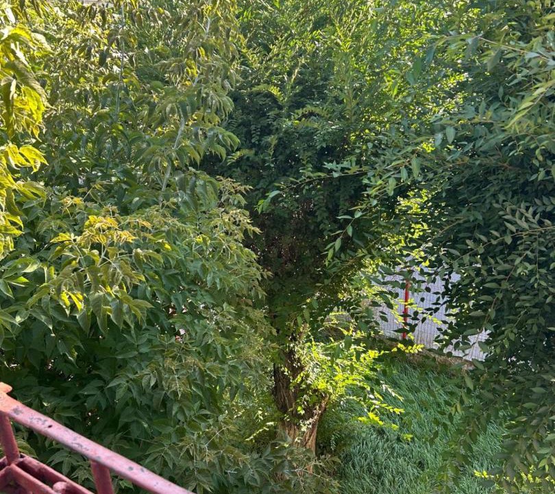 Photo of Others in Karagandy