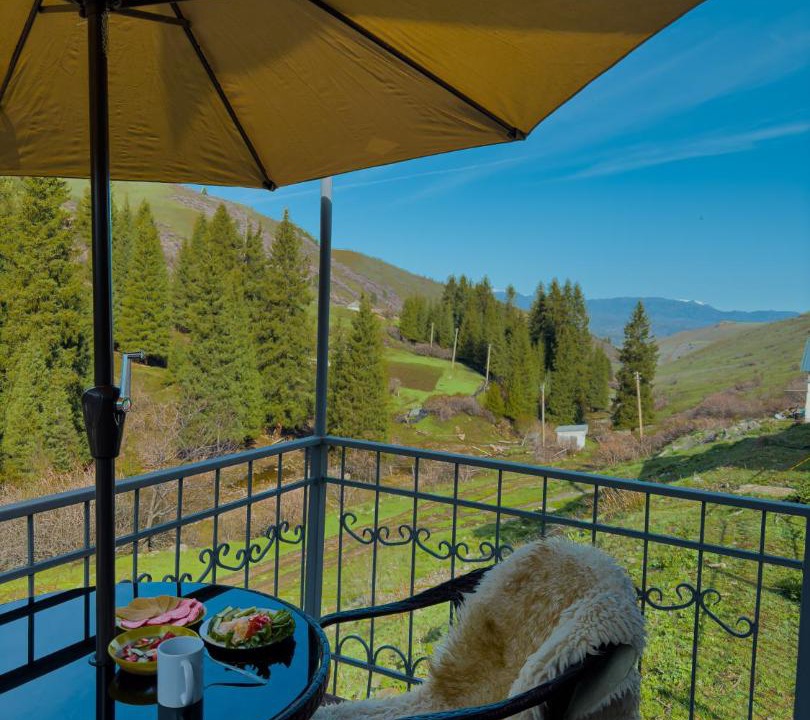 Photo of Patio Balcony in Saty