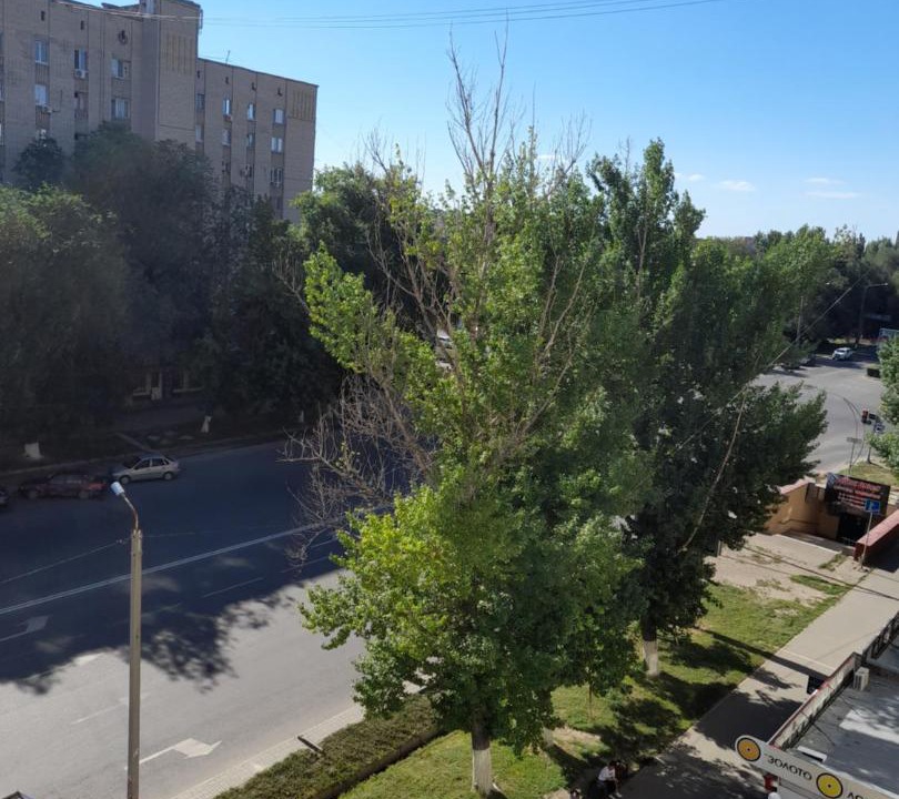 Photo of Others in Uralsk