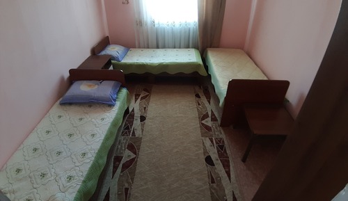 Shared Dormitory, Mixed Dorm, Shared Bathroom (3 Beds)