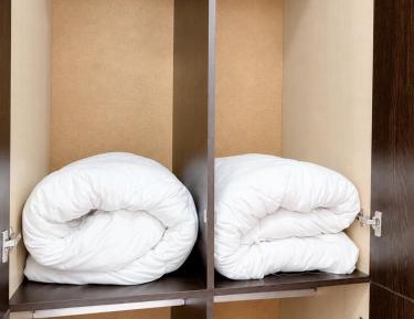 Bunk Bed in Male Dormitory Room 