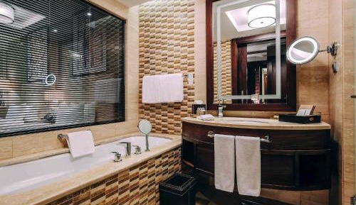 Deluxe Twin Room with Lake View