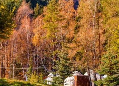 Luxury Traditional Kazakh Tent (Yurt )