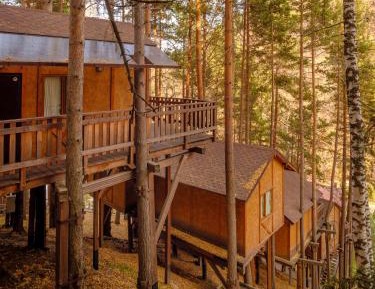 Luxury Tree House (accessible by a tall ladder)