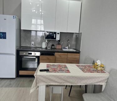 Karagandy Apartment | Dostar Apartments