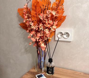 Almaty Apartment | Alem Apartments