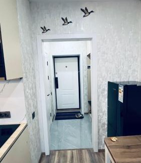 Borovoe Apartment | ЖК Табигат