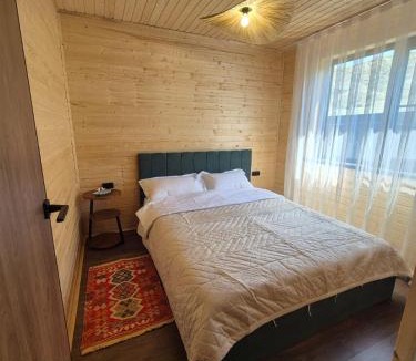 Saty House | Kolsay Kayindy Barnhouse