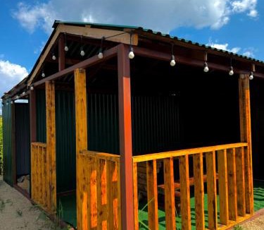 Ulytau District House | Тихий берег