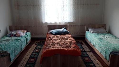 Saty House | House Ali