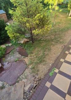 Shymkent House | Guests house