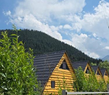 Almaty Province Resort | Кольсай Тау Оректы resort