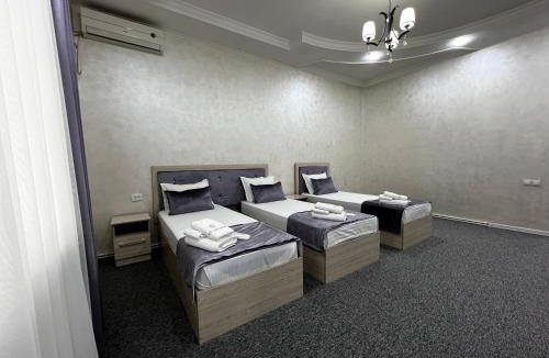 Zhibek Zholy Hotel | Art Tashkent Hotel