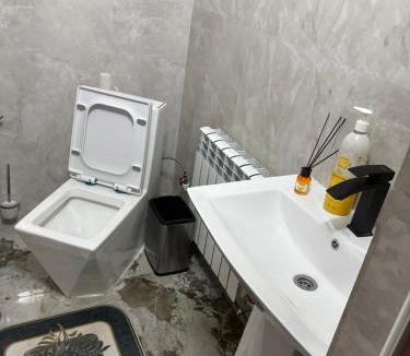 Saty House | Kolsay Aisha2