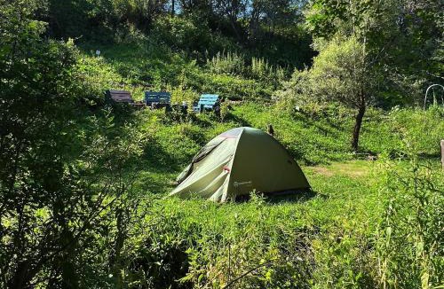 Tuzdybastau Other | Dikaya Soap Farm
