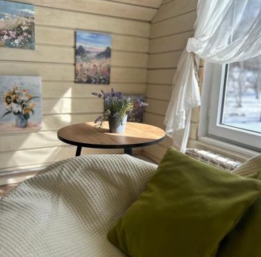 Andreevka house
